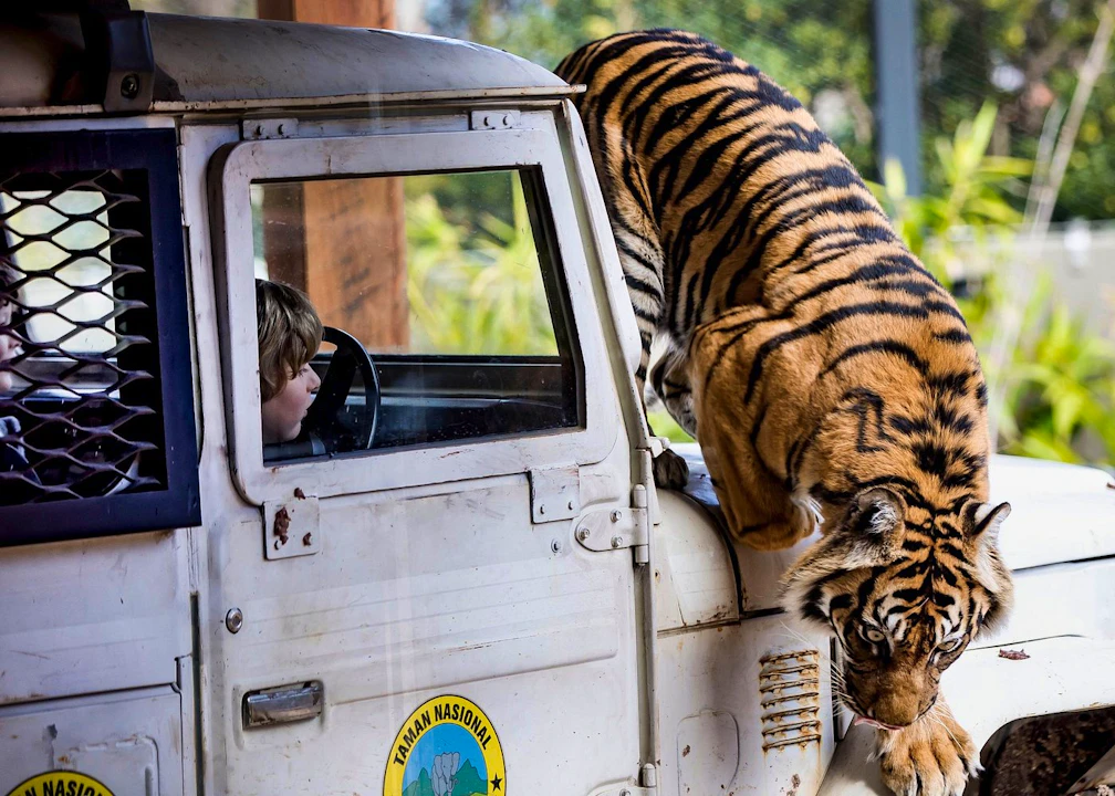 Taronga Zoo Tickets Thrillark